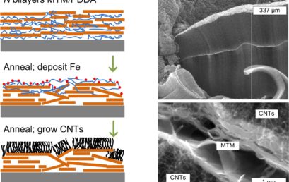Multidirectional Hierarchical Nanocomposites Made by Carbon Nanotube Growth within Layer-by-Layer-Assembled Films