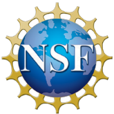 Dr. Bedewy wins NSF research grant to study direct growth of nanocarbons on polymers