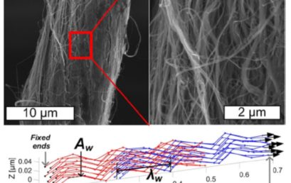 Morphology-Dependent Load Transfer Limits the Strength of Carbon Nanotube Yarns