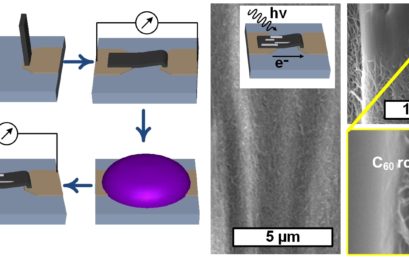 Photoconductive Hybrid Films via Directional Self-Assembly of C60 on Aligned Carbon Nanotubes