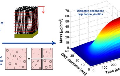 Diameter-Dependent Kinetics of Activation and Deactivation in Carbon Nanotube Population Growth