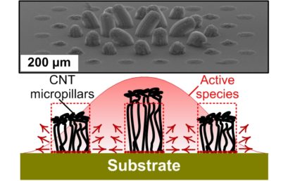Synergetic Chemical Coupling Controls the Uniformity of Carbon Nanotube Microstructure Growth