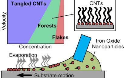 Decoupled Control of Carbon Nanotube Forest Density and Diameter by Continuous-Feed Convective Assembly of Catalyst Particles