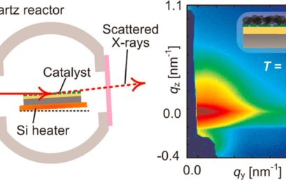 High-Speed in Situ X-Ray Scattering of Carbon Nanotube Film Nucleation and Self-Organization