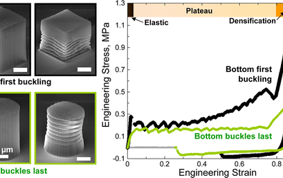 Local Relative Density Modulates Failure and Strength in Vertically Aligned Carbon Nanotubes