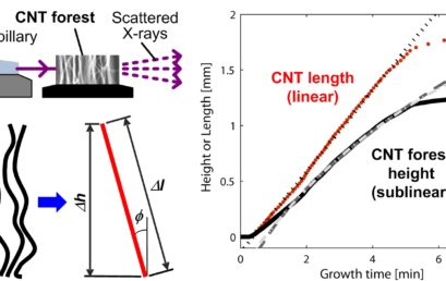 Measurement of the Lengthening Kinetics of Vertically Aligned Nanostructures by Spatiotemporal Mapping of Height and Orientation