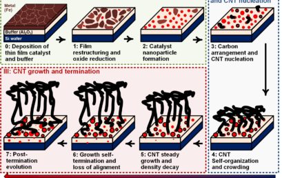 Data-Driven Understanding of Collective Carbon Nanotube Growth by In Situ Characterization and Nanoscale Metrology