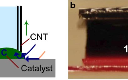 Collective Mechanisms Limiting the Indefinite Growth of Carbon Nanotube Assemblies