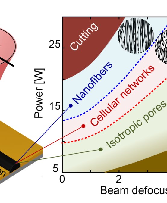Fluence-Dependent Morphological Transitions in Laser-Induced Graphene Electrodes on Polyimide Substrates for Flexible Devices